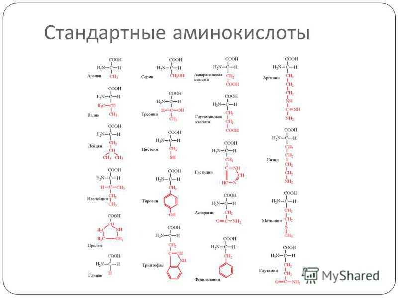 10 формул аминокислот. 20 Альфа аминокислот формулы. Формулы 20 аминокислот таблица. Структура 20 аминокислот. Таблица 20 аминокислот химия.