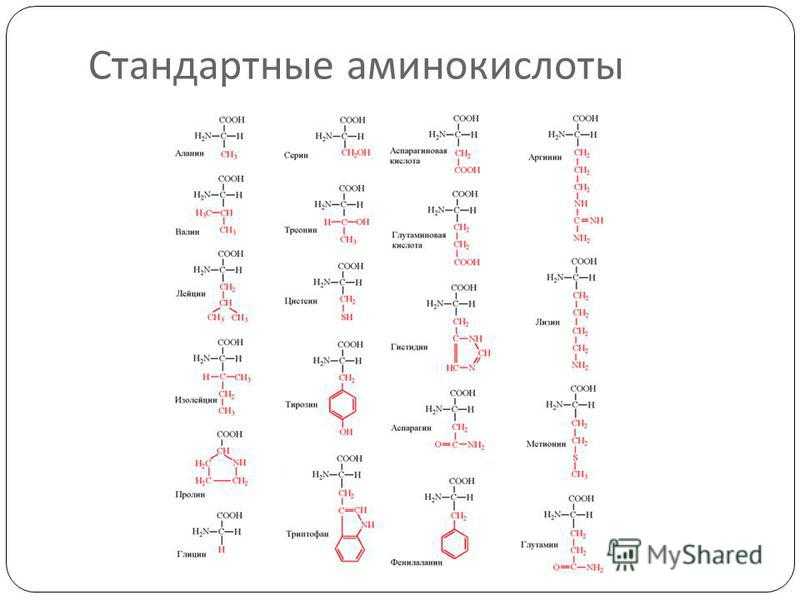 Аминокислоты таблица. Строение Альфа аминокислот. Аминокислота структура формула. Формулы 20 аминокислот таблица. Структурная формула Альфа аминокислоты.