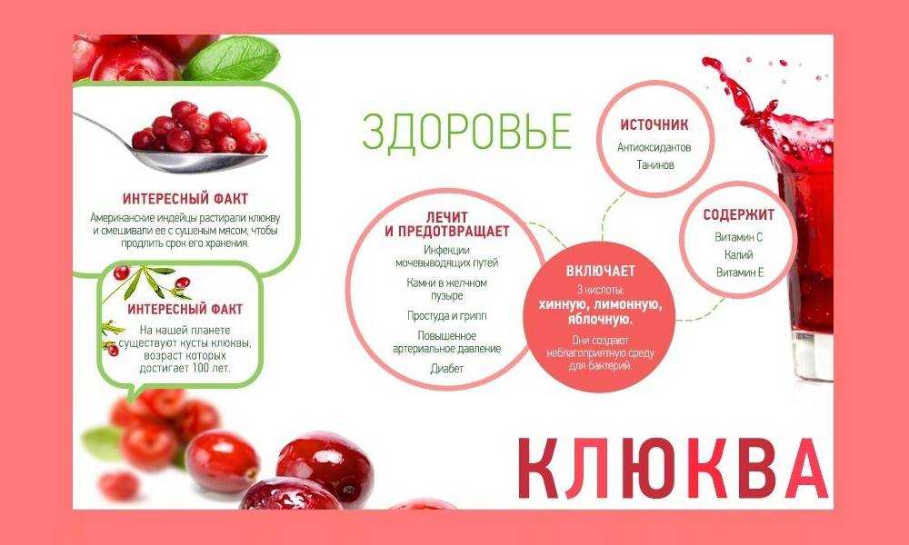 Клюквенный, брусничный, морс из калины – источники здоровья. полезные свойства, возможный вред и калорийность морсов из ягод