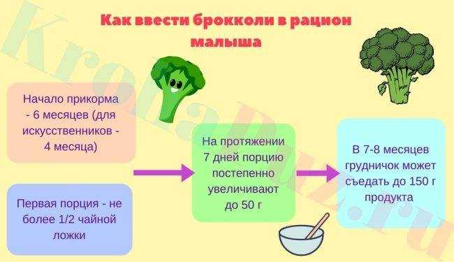 Педиатры рекомендуют для первого прикорма младенцу выбирать спаржевую капусту В овоще содержится много питательных элементов, которые требуются для развития детского организма Брокколи ребенку можно давать круглогодично, ведь после заморозки она не теряет