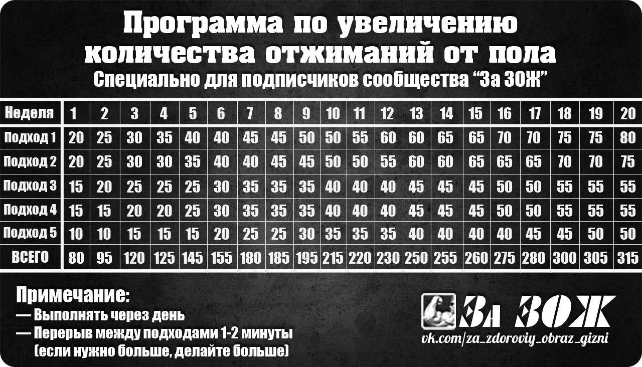 Тренировочная методика: 100 отжиманий за шесть недель или месяц