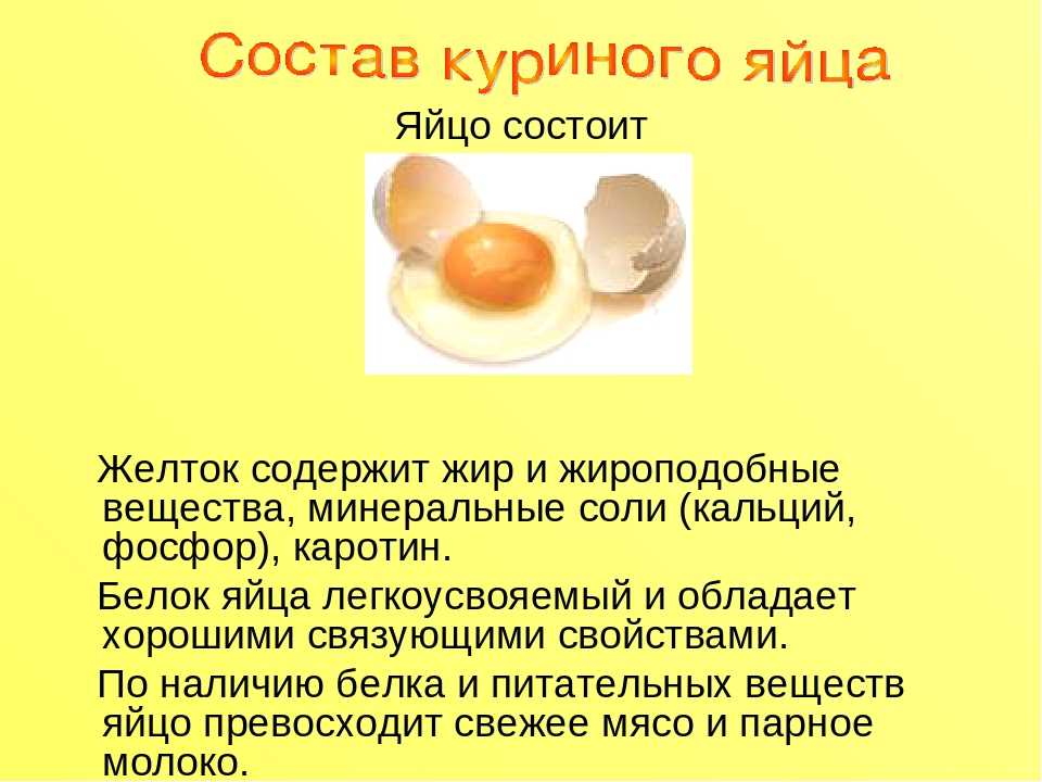 Химический состав яйца и пищевая ценность, строение куриных яиц