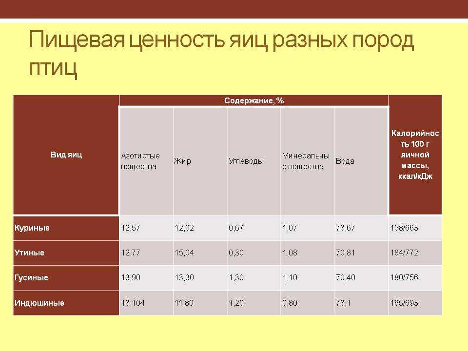 Сколько калорий в яйце: пищевая ценность и полезные свойства