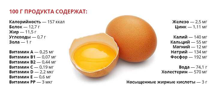 Из чего состоит яйцо? пищевая ценность и состав