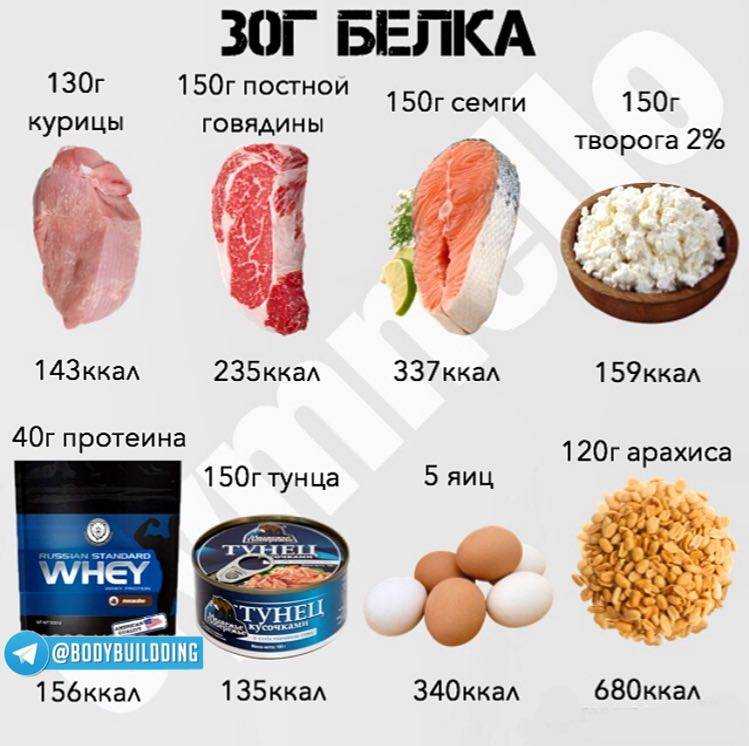 Содержание протеина в различных продуктах