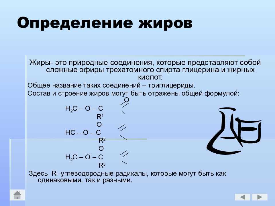 Содержание жиров в продуктах питания