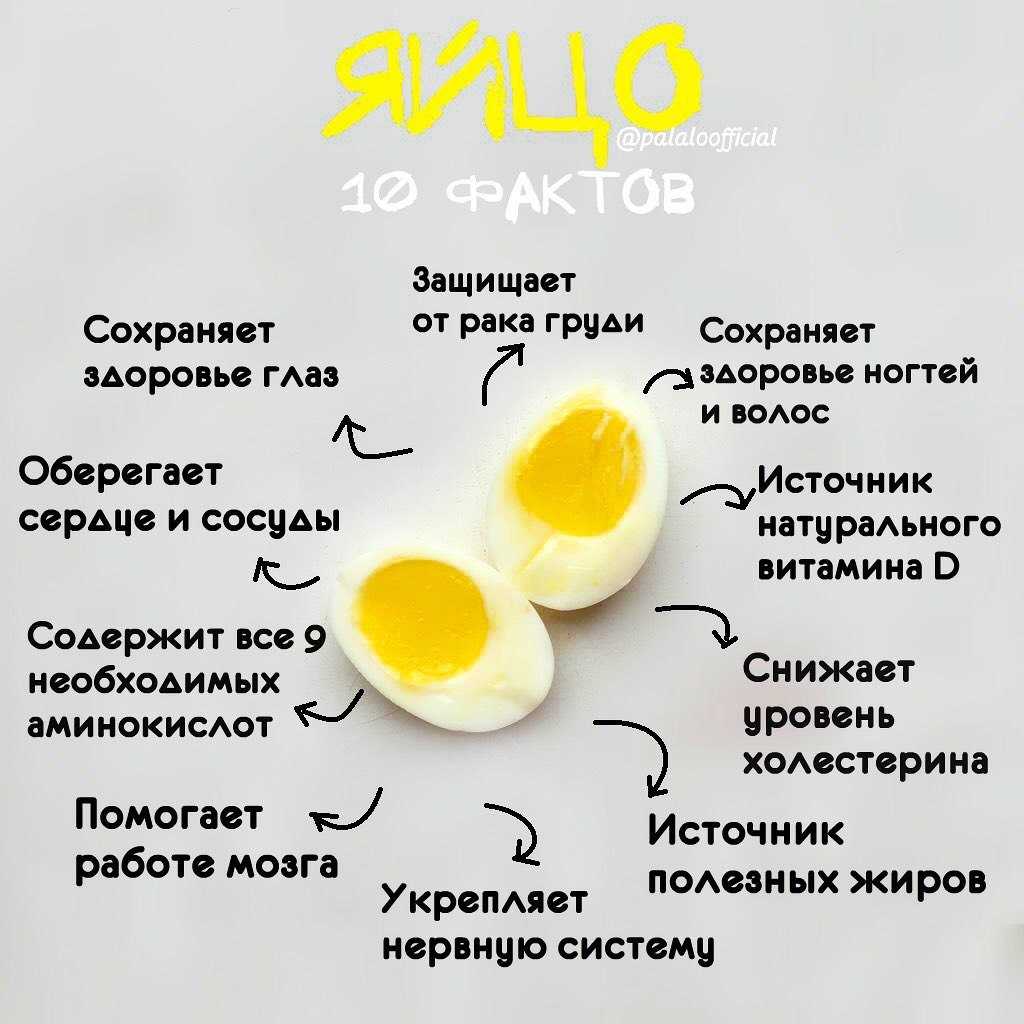 Пить яйца каждый день. Чем полезно яйцо. Польза куриных яиц. Полезные вещества в яйце курином.