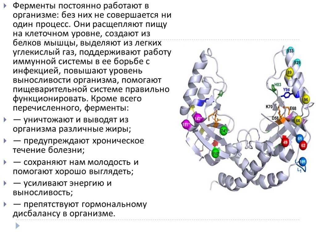 Омега 3-6-9: польза жирных кислот для организма