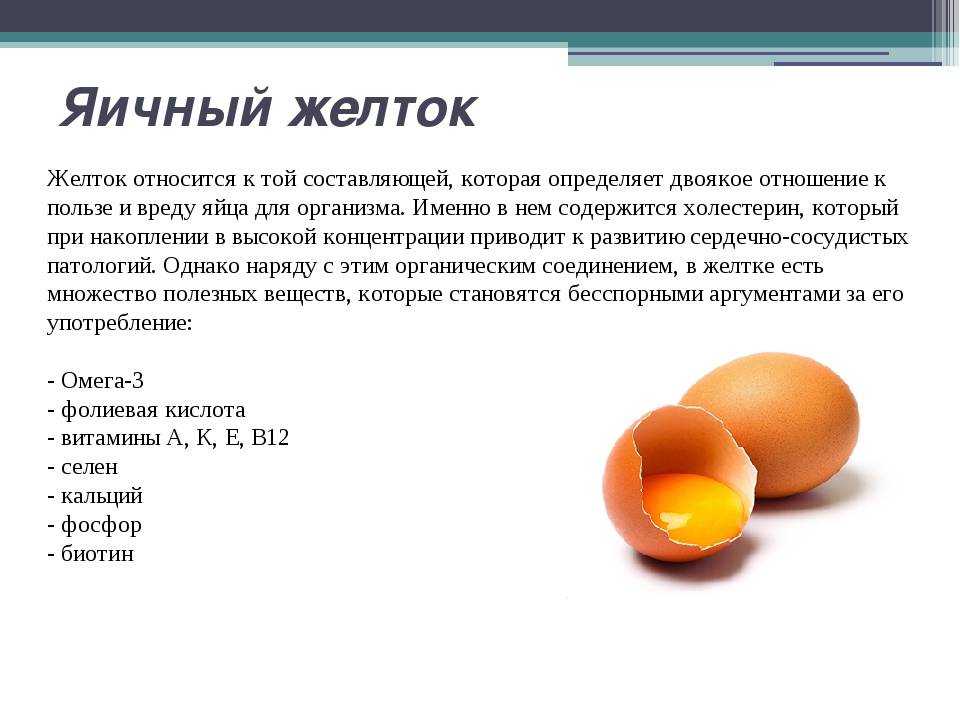 Желток для грудничка – когда вводить в прикорм, чем полезен | heinz baby