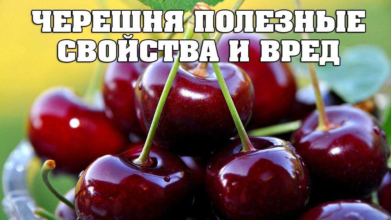 Черешня:в чем польза и вред для организма человека