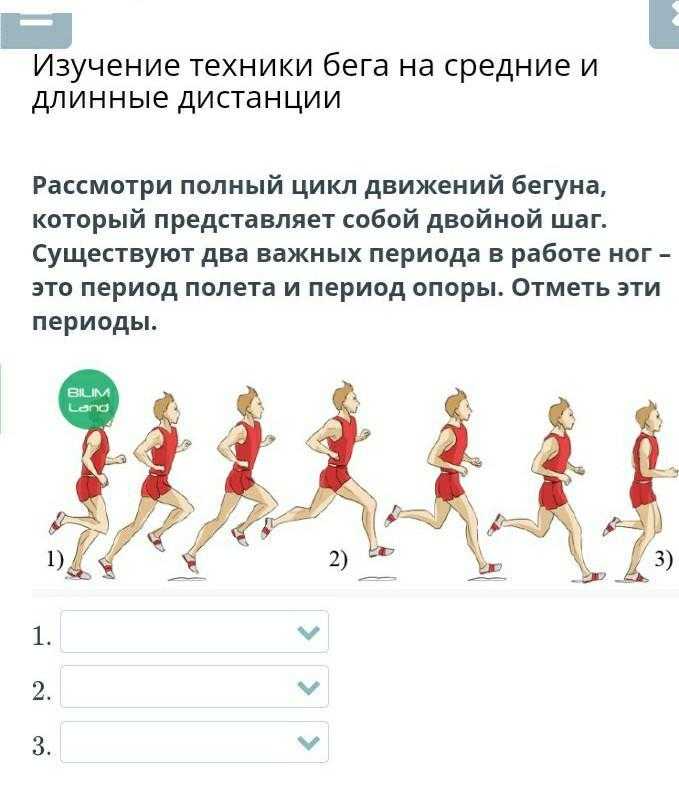 Бег на короткие дистанции. как стать спринтером? - 🏃 как начать бегать начинающему и пробежать марафон