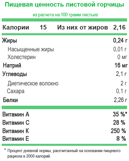 Листовая горчица: польза и вред для организма, применение в пищу, рецепты