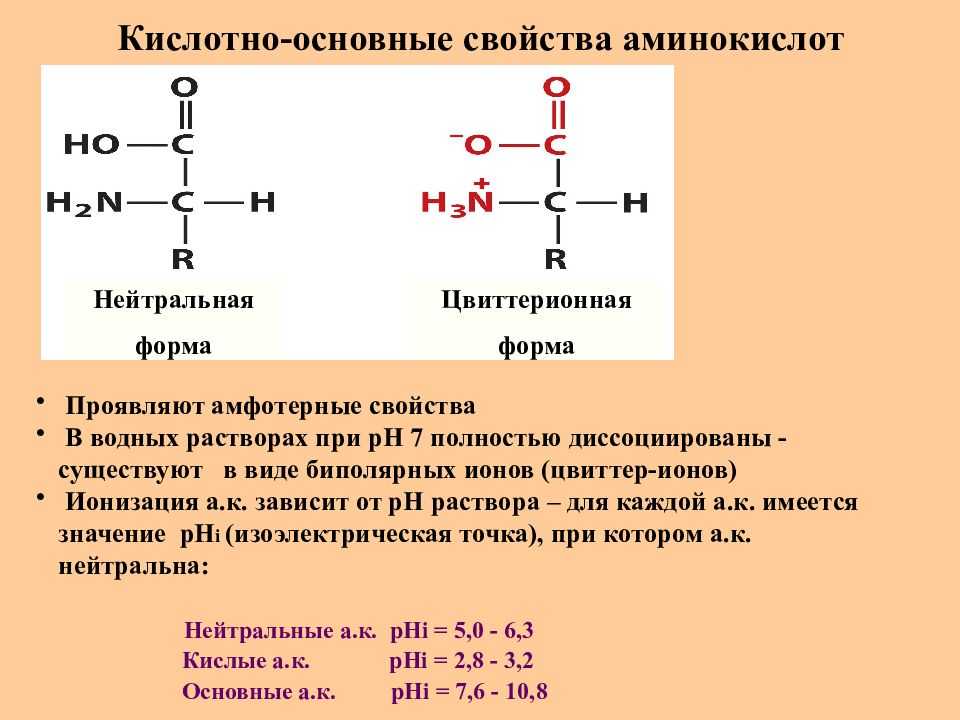 Аминокислоты - классификация, свойства заменимых и незаменимых аминокислот и последствия их недостатка