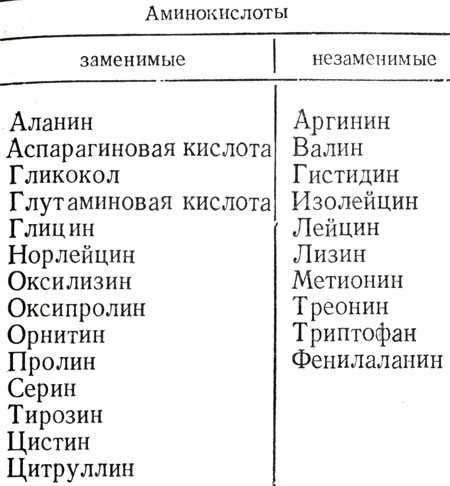 Химический состав мясного сырья и его изменения при приготовлении блюд | статья в журнале «молодой ученый»