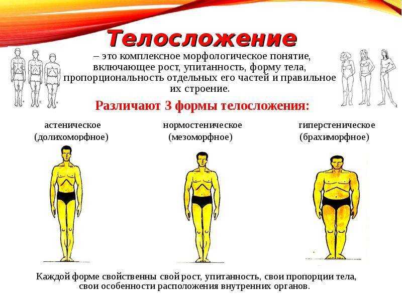 Астеническое телосложение: признаки, особенности характера
