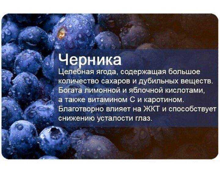Черника в питании детей: порция здоровья и силы. с какого возраста можно давать ребенку чернику - onwomen.ru