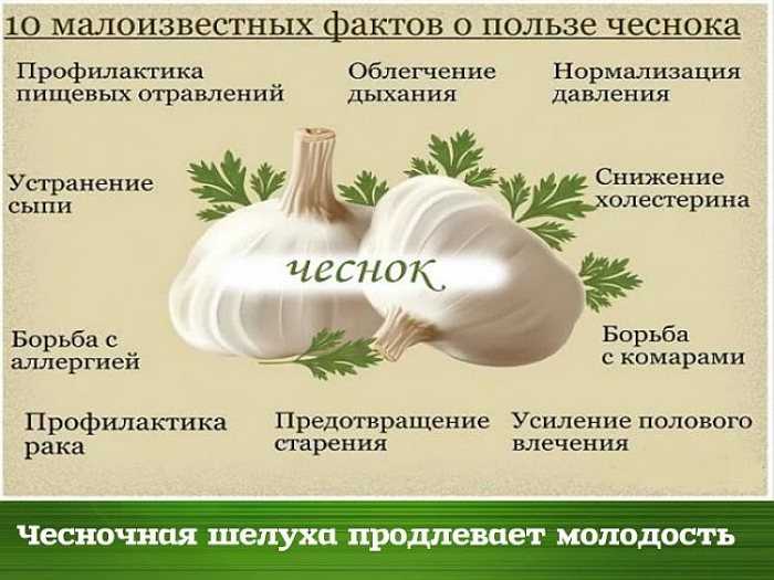 Фаза сна - что это такое и его влияние