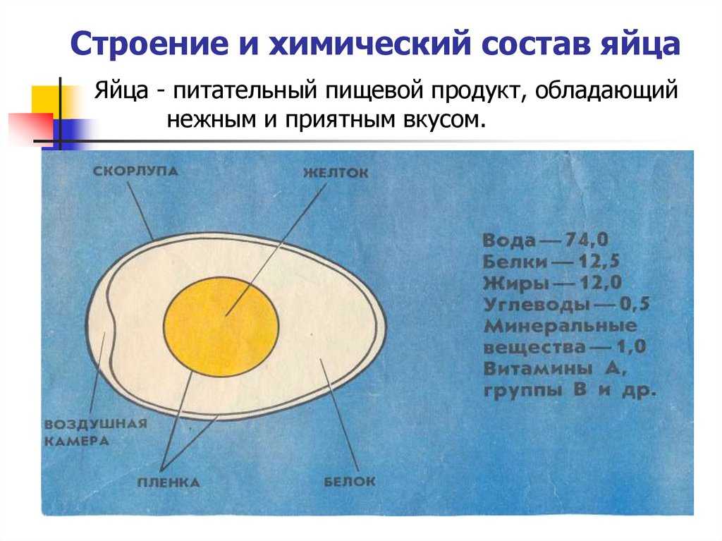 Калорийность яйцо куриное. химический состав и пищевая ценность