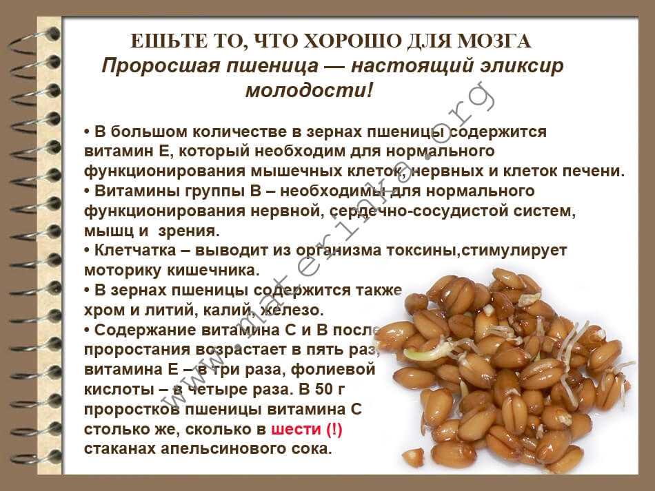 Оптимальное соотношение белков, жиров и углеводов для правильного питания