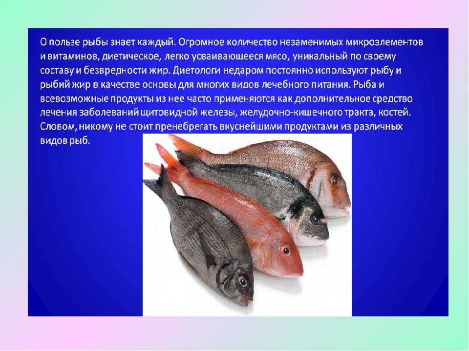 Форель: польза и вред