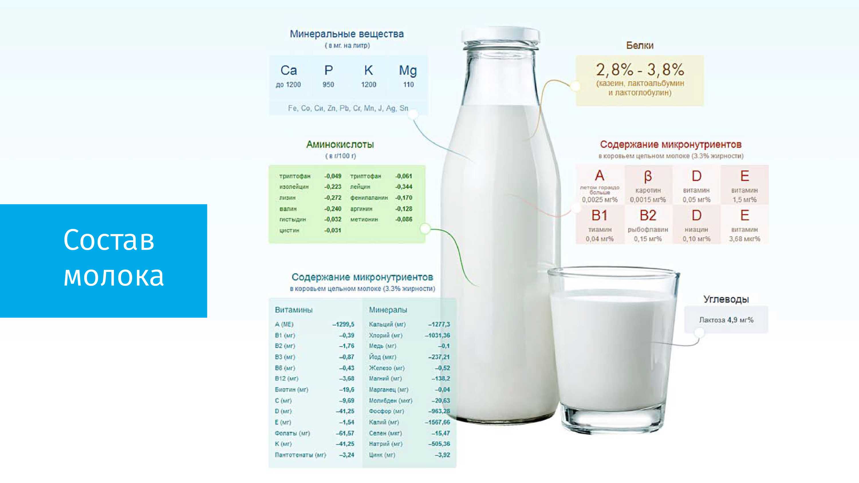 Молоко. химический состав и пищевая ценность