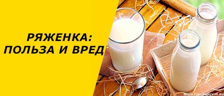 Ряженка: польза и вред для организма | польза и вред