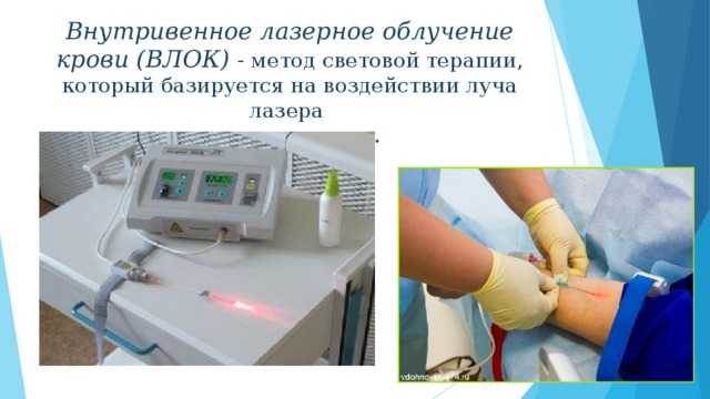 Правильное питание во время беременности - советы по правильному питанию - agulife.ru