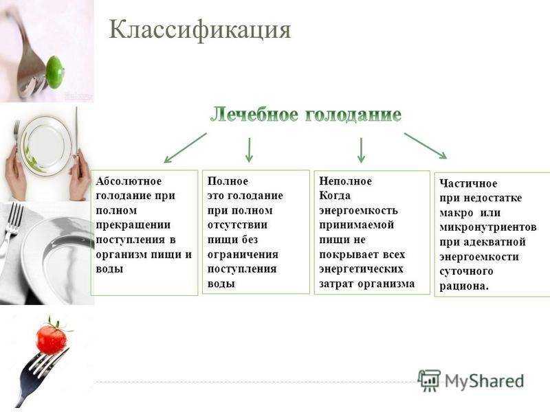 Проводим лечебное голодание: этапы, польза и вред | medisra.ru