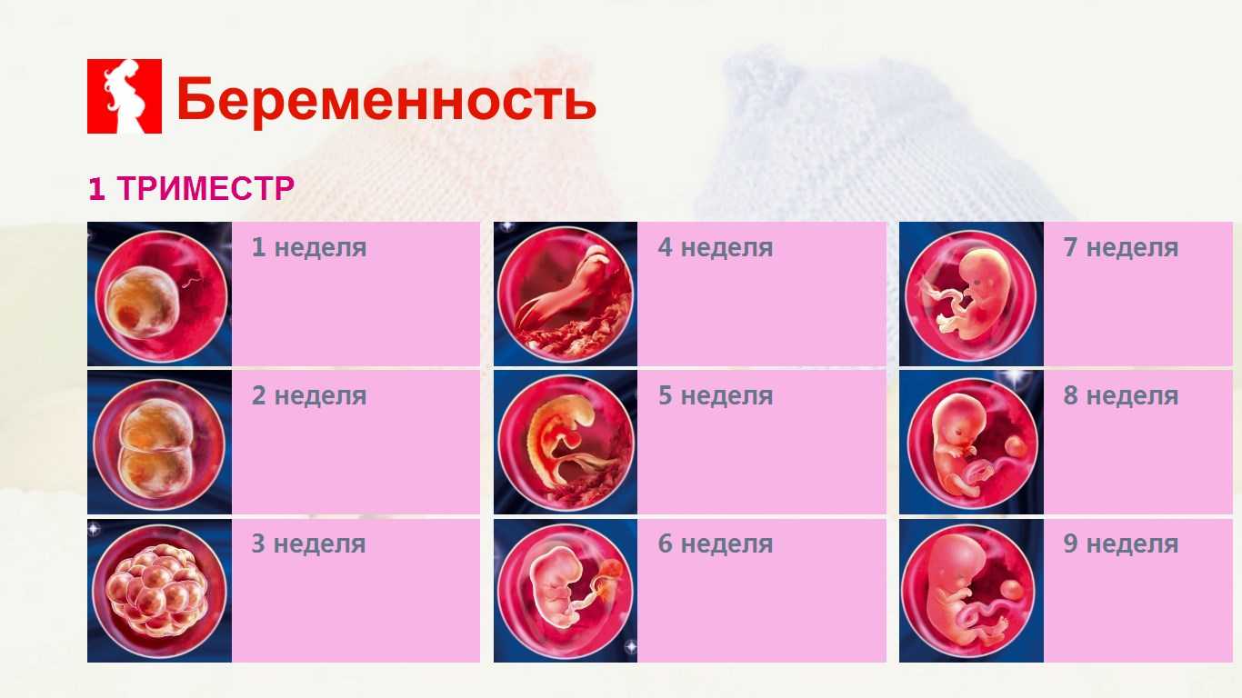 Можно ли употреблять льняное масло беременными?