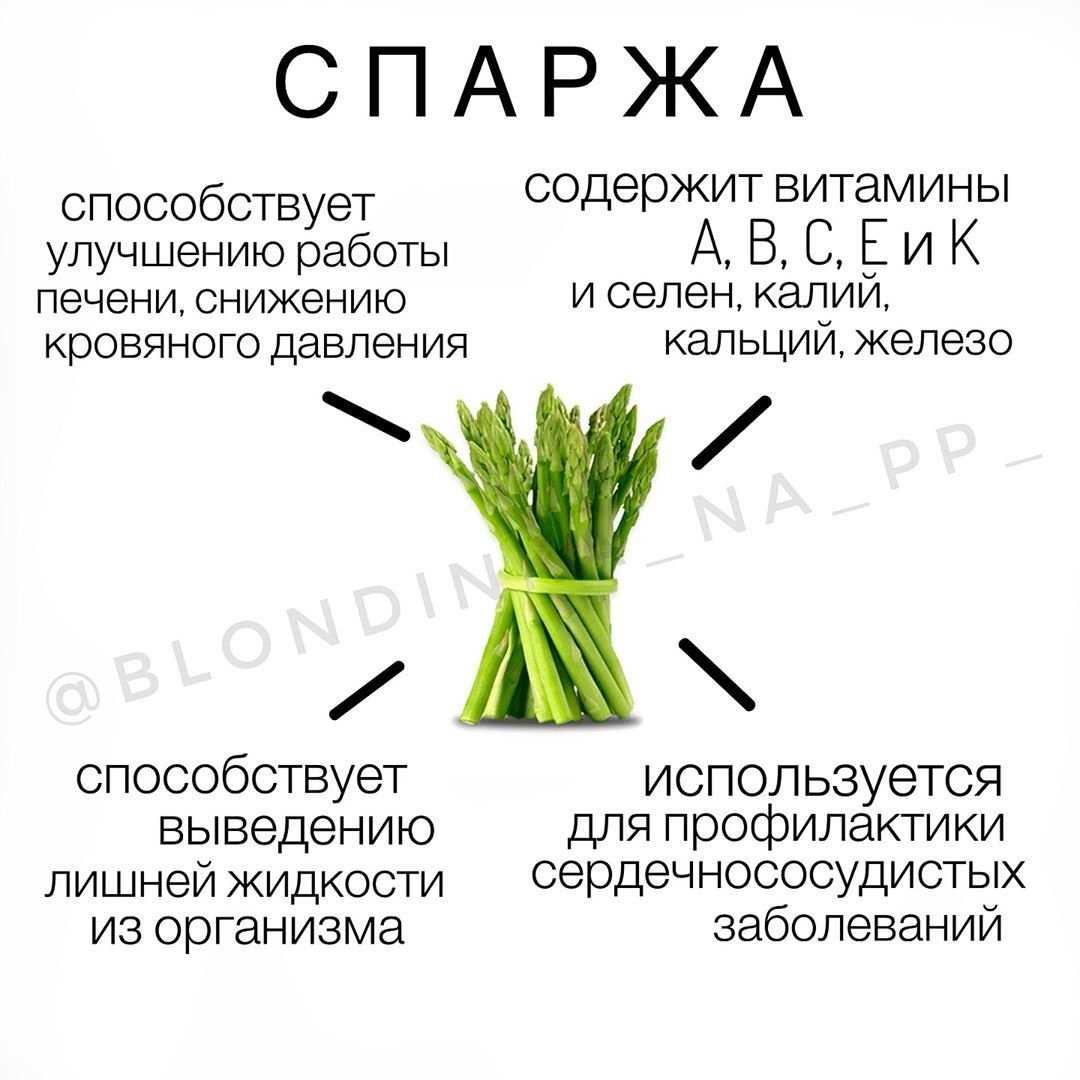 Схема посадки спаржи