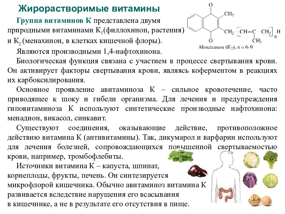 Какой витамин синтезируется микрофлорой. Жирорастворимыеитамины. Витамины. Перечислите жирорастворимые витамины. Роль жирорастворимых витаминов.