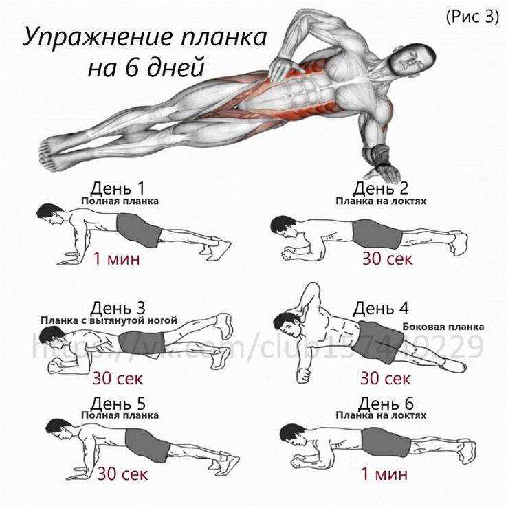 Упражнение «планка» — советы, фото до&после