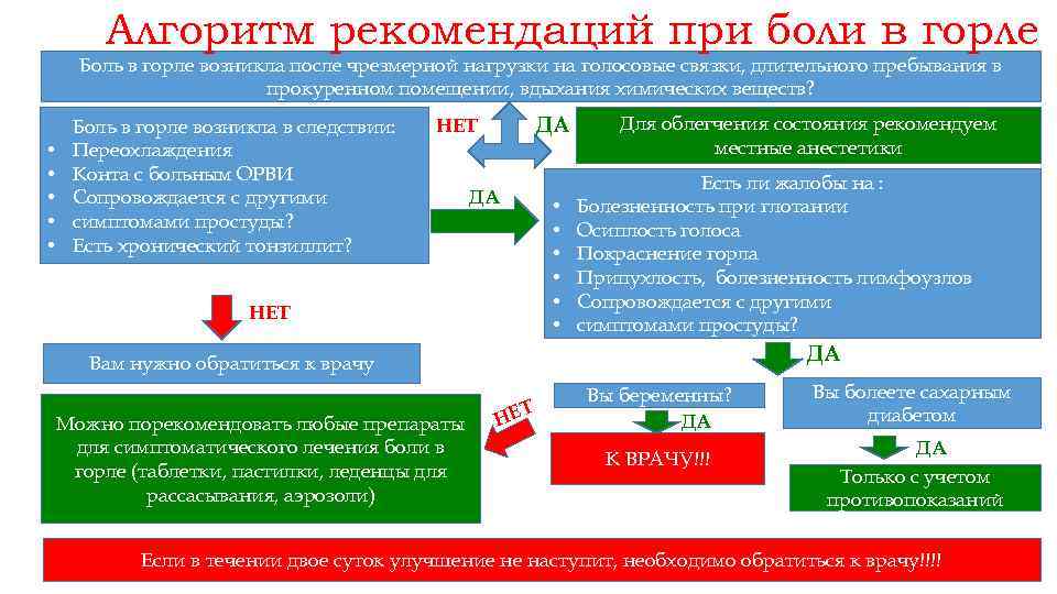 Можно ли шалфей беременным: категорические запреты и когда растение полезно будущей маме