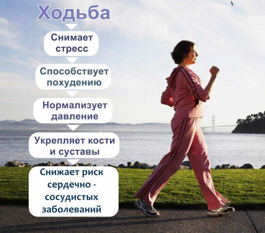 Что произойдет с вашим телом, если ходить 1 час в день? :: polismed.com