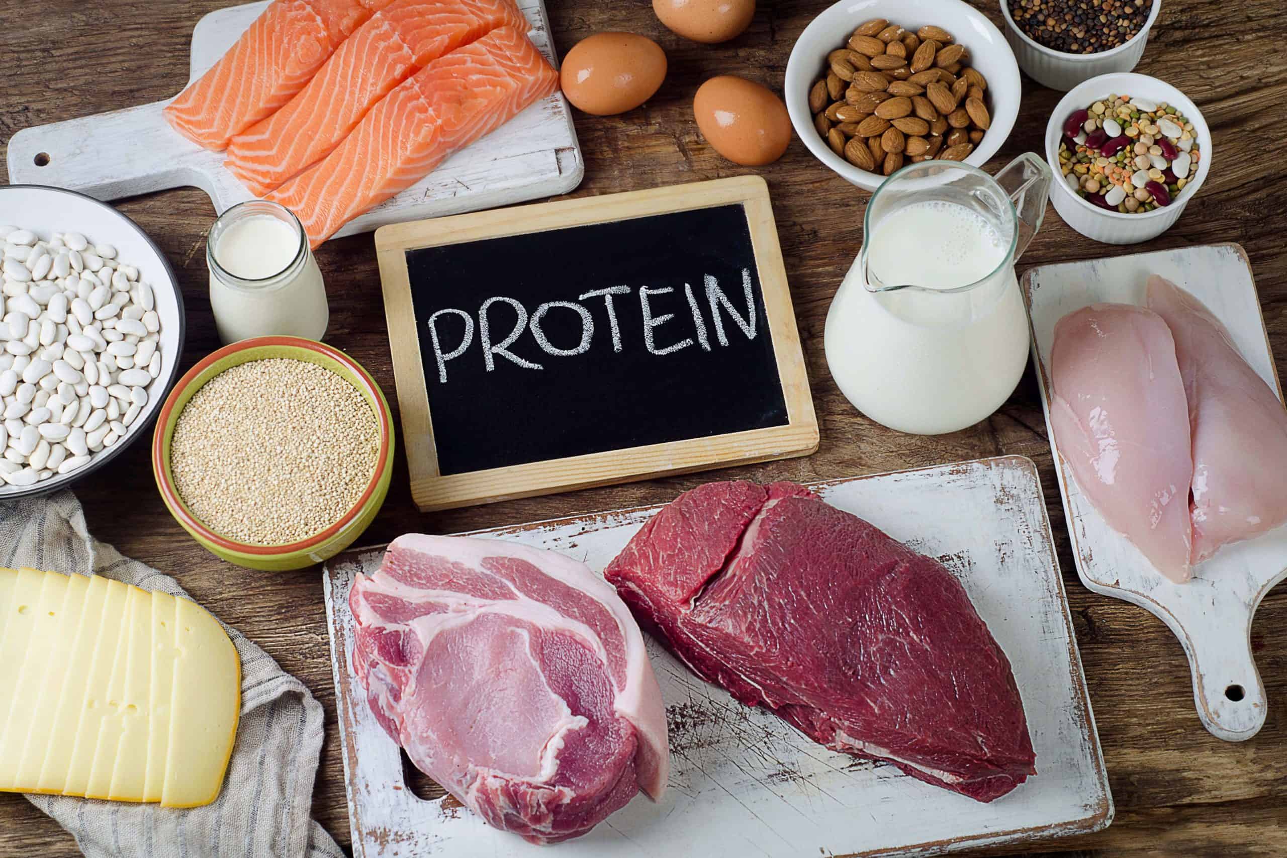 Белки и протеины разница. Белковая пища. Питание белки. Белок в продуктах. Белок в еде.