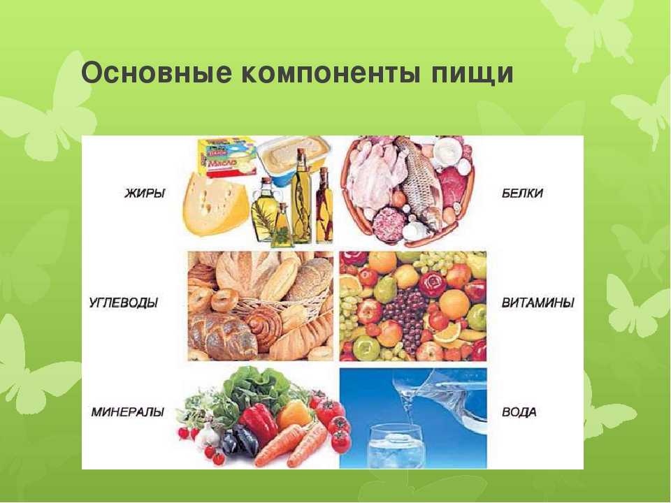 Пищевые вещества необходимые человеку. Белки жиры углеводы витамины минералы вода. Основные компоненты пищи. Основные компоненты пи. Основные компоненты питания человека.