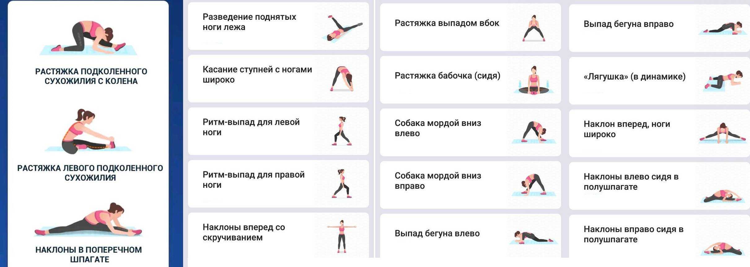 Шпагат за 30 дней: можно ли сесть на шпагат за месяц + программа для новичков