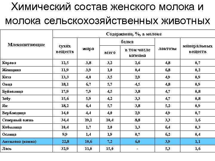 10 причин выбрать козье молоко вместо коровьего :: polismed.com