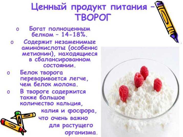 Оптимальное соотношение белков, жиров и углеводов - как рассчитать количество бжу