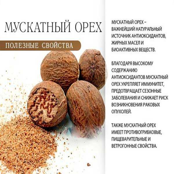 Какой орех самый калорийный, орехи калорийность таблица, самые полезные орехи