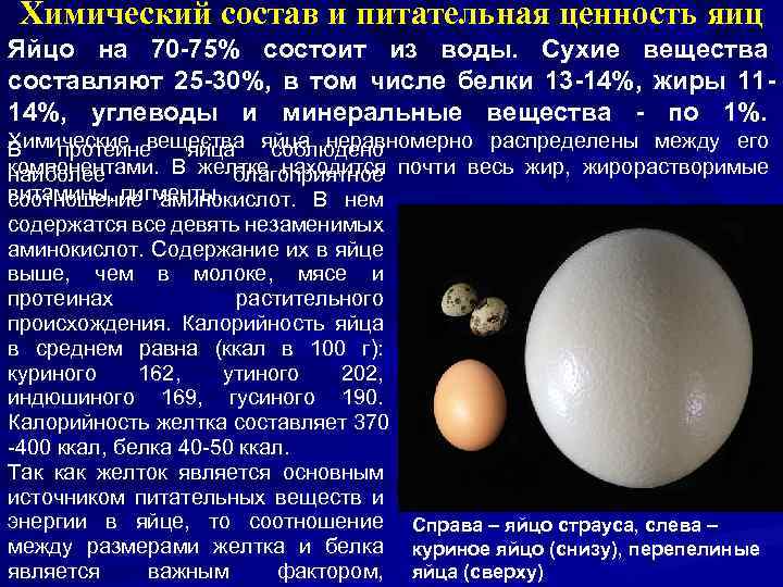 Калорийность продуктов самая полная таблица на 100 грамм