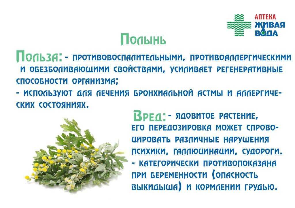Добавки и безрецептурные препараты для печени - что они содержат? | университетская клиника