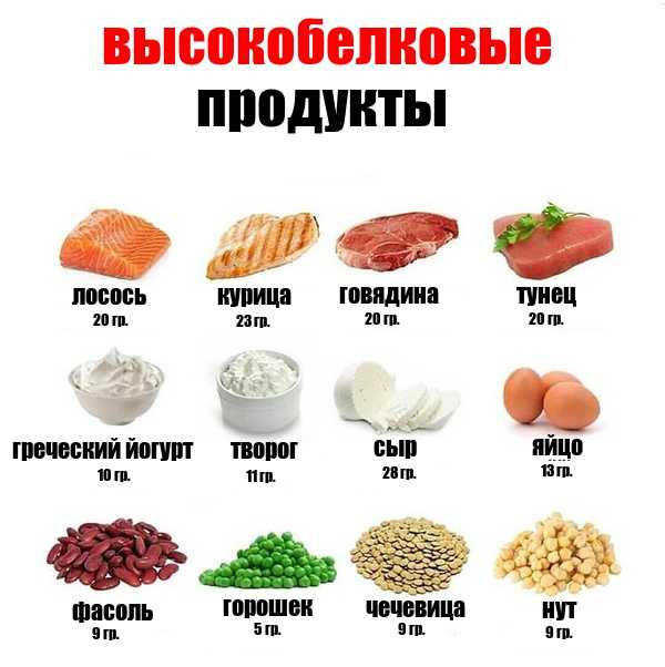 Белковые фракции крови: белок, альбумин, альфа, бета и гамма