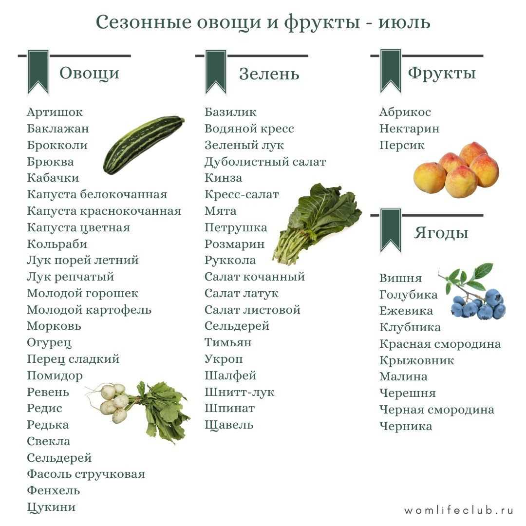 Торговля овощами и фруктами как бизнес: с чего начать и как преуспеть - fin-az.ru
