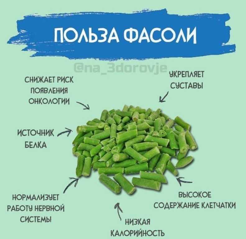 Фасоль: калорийность и польза для здоровья | food and health