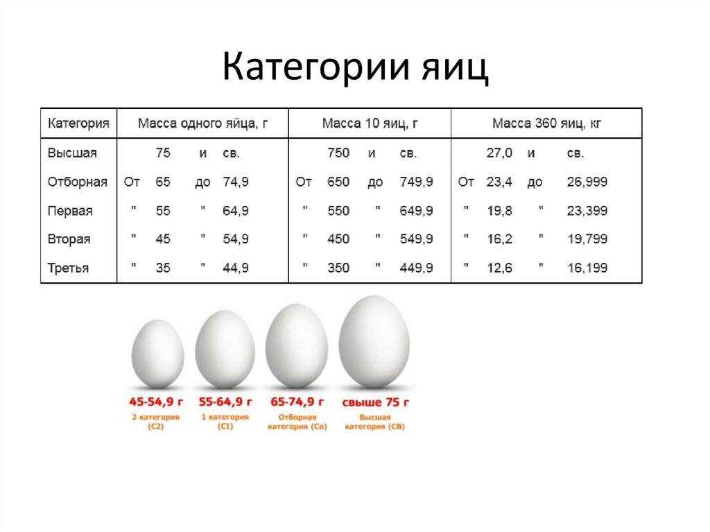 Сколько белков в яйце