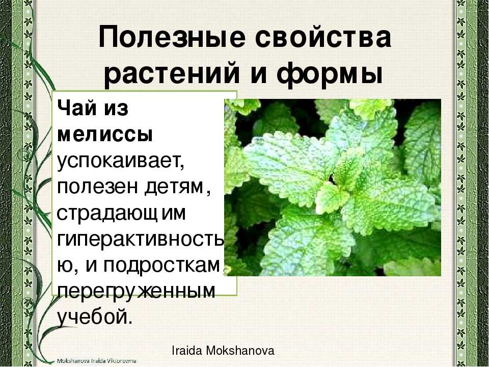 Бжу говядины