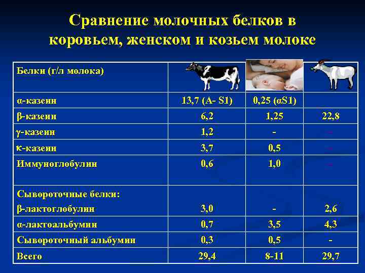 Калорийность козьего молока. Белки в коровьем молоке. Казеин в коровьем и козьем молоке. Белки козьего молока и коровьего.