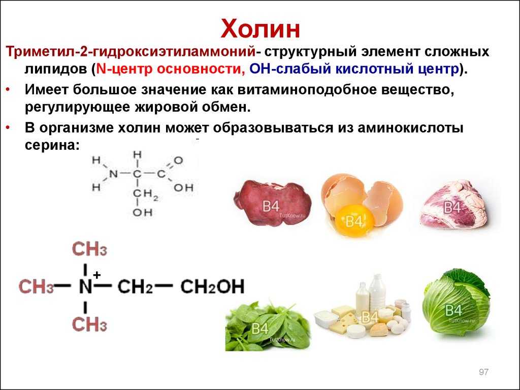 Витамины содержится в печени. Витамин b4 Холин формула. Витамин в4 Холин формула. Витамин b4 структурная формула. Холин витамин в4 препараты.
