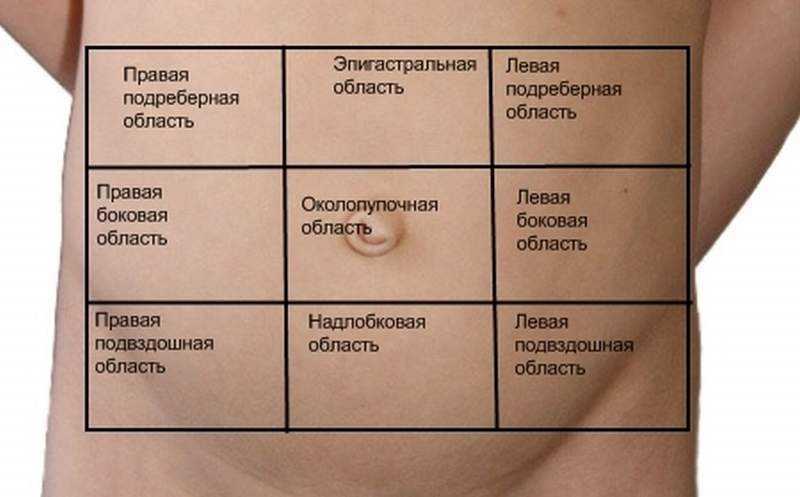 Как болит бок при разных заболеваниях почек